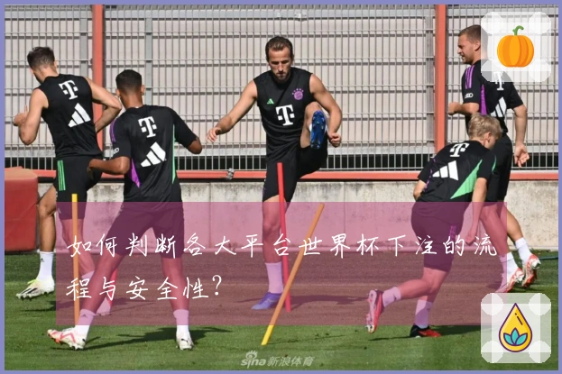 如何判断各大平台世界杯下注的流程与安全性？