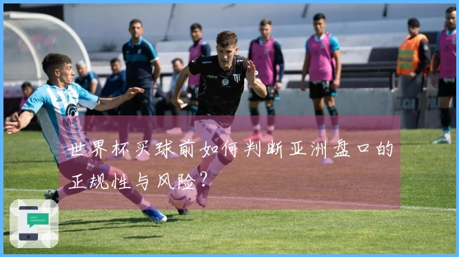 世界杯买球前如何判断亚洲盘口的正规性与风险？