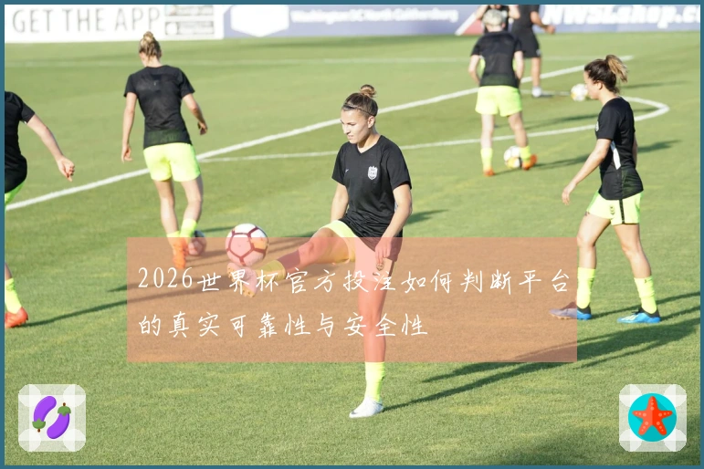 2026世界杯官方投注如何判断平台的真实可靠性与安全性