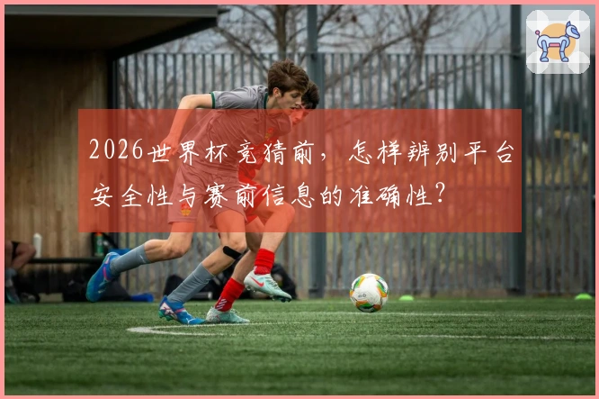 2026世界杯竞猜前，怎样辨别平台安全性与赛前信息的准确性？