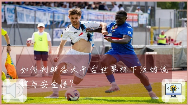 如何判断各大平台世界杯下注的流程与安全性？