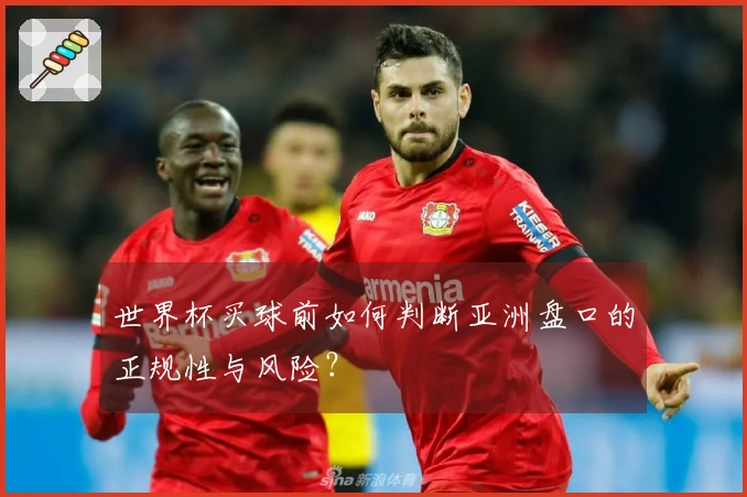 世界杯买球前如何判断亚洲盘口的正规性与风险？
