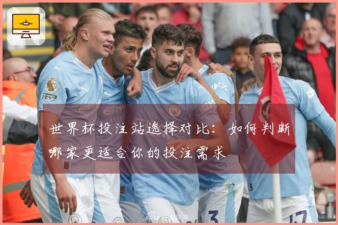 世界杯投注站选择对比：如何判断哪家更适合你的投注需求