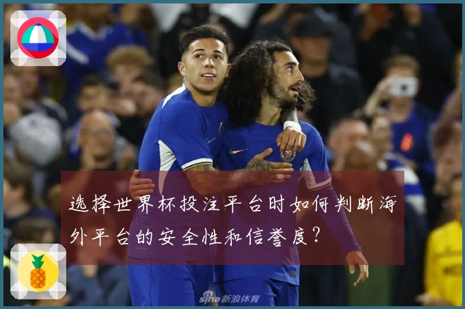 选择世界杯投注平台时如何判断海外平台的安全性和信誉度？