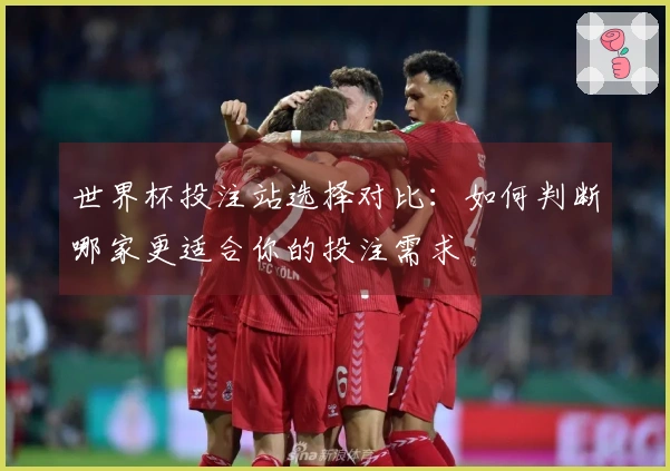 世界杯投注站选择对比：如何判断哪家更适合你的投注需求