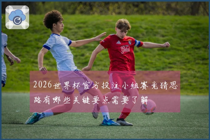 2026世界杯官方投注小组赛竞猜思路有哪些关键要点需要了解